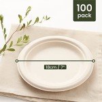 Eco-Friendly Biodegradable Sugarcane Plates - 100 Pack