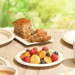 Eco-Friendly Biodegradable Sugarcane Plates - 100 Pack