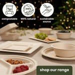 Eco-Friendly Biodegradable Sugarcane Plates - 100 Pack