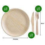 Biodegradable Large Plates and Cutlery Set, Eco-Friendly