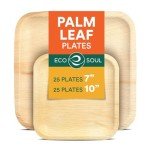 Eco Soul Biodegradable Disposable Plates