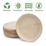 Biodegradable Large Plates and Cutlery Set, Eco-Friendly