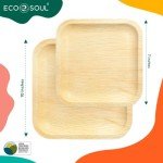 Eco Soul Biodegradable Disposable Plates