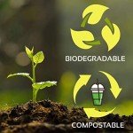 Biodegradable 256ml Clear Cups - 50 Pack
