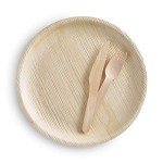 Biodegradable Large Plates and Cutlery Set, Eco-Friendly