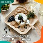 Eco Soul Biodegradable Disposable Plates