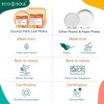Eco Soul Biodegradable Disposable Plates