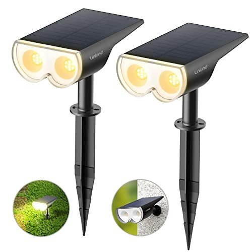 Lamps & Lighting