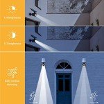 PROXINOVA Solar Motion Sensor Security Light