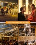 KOLPOP Solar Powered Fairy Lights for Outdoor Decor
