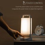 Solar Rechargeable Camping Lantern