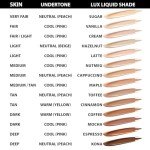 Organic Vegan Aloe Liquid Foundation by BaeBlu