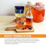 Fermax Yeast Nutrient, 1lb