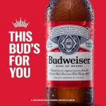 Budweiser Beer, 24 Pack Beer, 12 FL OZ Bottles