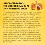 Mead Making Kit for Beginners 1 Gallon Home Brewing Kit with Glass Fermentation Jar Siphon Airlock Stopper Temperature Labe Funnel Hydrometer Reusable DIY Honey Wine Starter Set