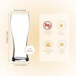 Dorelina Set of 4 Pint Beer Glasses