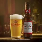 Budweiser Beer, 24 Pack Beer, 12 FL OZ Bottles