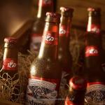 Budweiser Beer, 24 Pack Beer, 12 FL OZ Bottles