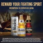Modelo Especial Mexican Lager Beer, 12 pk, 12 oz bottles, 4.4% ABV