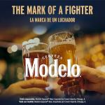 Modelo Especial Mexican Lager Beer, 12 pk, 12 oz bottles, 4.4% ABV