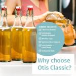 Set of 6 Otis Swing Top Glass Bottles