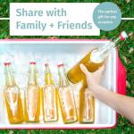 Set of 6 Otis Swing Top Glass Bottles