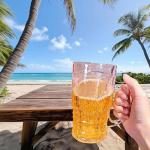 Fake Beer Glasses, Double Walled Beer Mug For,16 oz with HandleResuable Beer Drinking Cups,Double Walled Beer Mug For Freezer for Bar, Beverages, Alcohol, Freezable, BPA Free