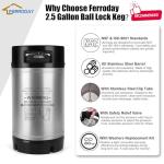 Ferroday New 2.5 Gallon Corny Keg, Stainless Steel Beer Keg Cornelius Keg with Dual Rubber Handle, Ball Lock Keg with Quick Disconnects O-Rings Clamps for Home Brew