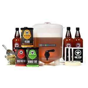 BrewDemon Premium Beer Kit with Bottles and Recipes