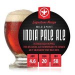 BrewDemon Premium Beer Kit with Bottles and Recipes