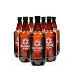 BrewDemon Pro Beer Making Kit with Recipe