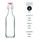 YEBODA 16 oz Clear Glass Beer Bottles - Set of 6