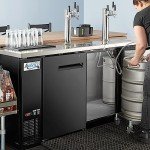 GANCOWISE 5 Gallon Commercial Beer Keg with Sankey Valve