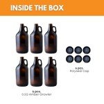 Amber 1/2 Gallon Growlers - Case of 6