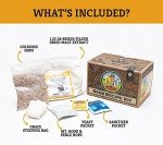 Oktoberfest Ale Homebrew Recipe Kit - 1 Gallon