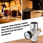 TMCRAFT 500ml Mini Keg - Stainless Steel Draft System