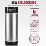 Hilangsan Stainless Steel Corny Keg with Handle