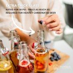 Kombucha Swing Top Glass Bottles - 16 oz (6 Set)