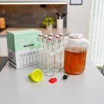 Kombucha Swing Top Glass Bottles - 16 oz (6 Set)