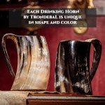 Viking Drinking Horn Mug - Unique Beer Stein