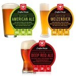 BrewDemon 2 Gal. Craft Beer Recipe Kit 3-Pack