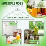 AYL Flip Top Glass Bottles for Brewing (6-Pack)