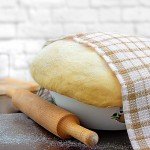 Pure Brewer's Yeast - 1 lb, No Fillers