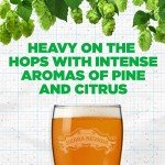 Sierra Nevada Pale Ale - 6 Pack, 12 oz Bottles