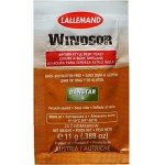 Danstar WINDSOR Beer Yeast - 2 Pack 11g