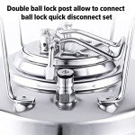 1.6 Gallon Mini Ball Lock Keg for Homebrewing
