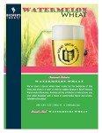 Brewer's Best Watermelon Wheat Beer Kit - 5 Gallons