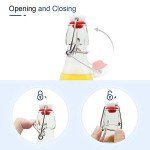 ZEBEIYU 8 oz Swing Top Glass Bottles - Set of 9