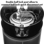 2.5 Gallon Stainless Steel Ball Lock Kegs - 2 Pack