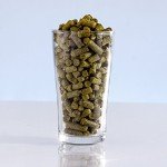 Kama Citra Session IPA Beer Recipe Kit